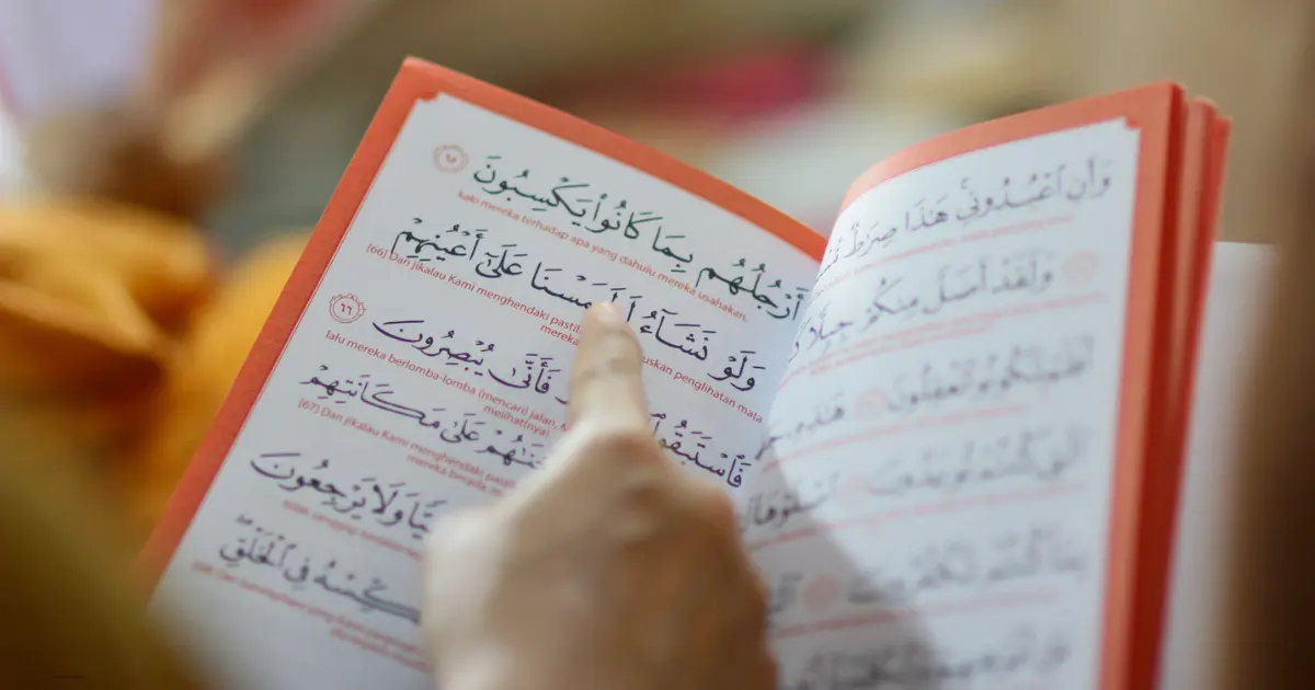 Understand Quran in English Translation through Quran study, translation, and Tafseer guidance